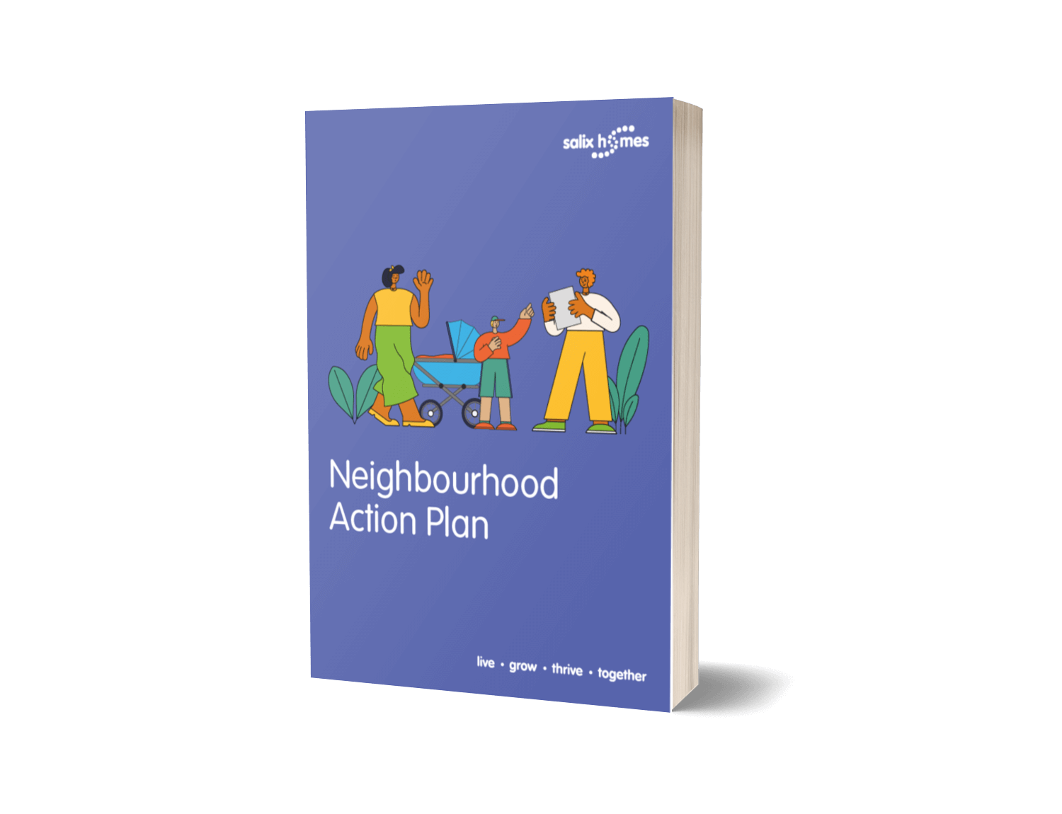 Neighbourhood Action Plans