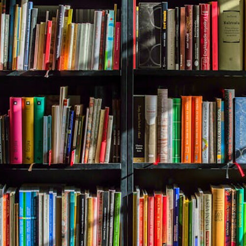 Books in a bookcase