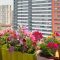 ‘Wildlife Gardening’ for Small Spaces