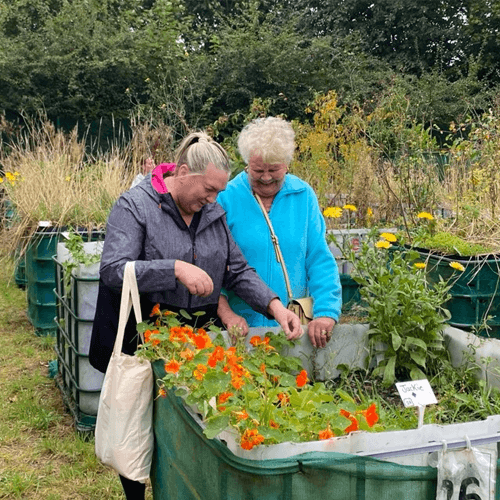 Two women looking at flowers in an allotment