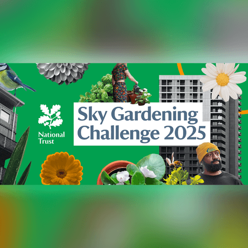National Trust Sky Gardening Challenge 2025