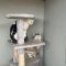 A purrfect rescue: Salix Homes officers save abandoned cats 