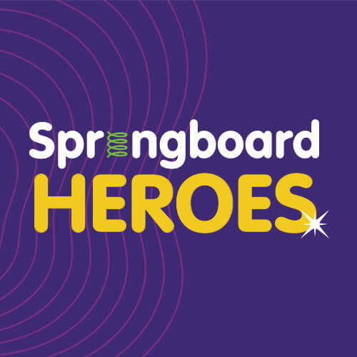 Springboard Heroes