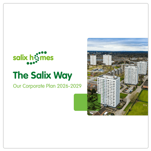 The Salix Way - Our Corporate Plan 2026-2029