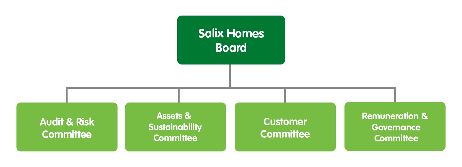 An organisation chart of the Salix Homes Board Committees